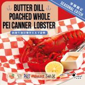 Seasonal Butter Dill Poached Whole PEI Canner Lobster